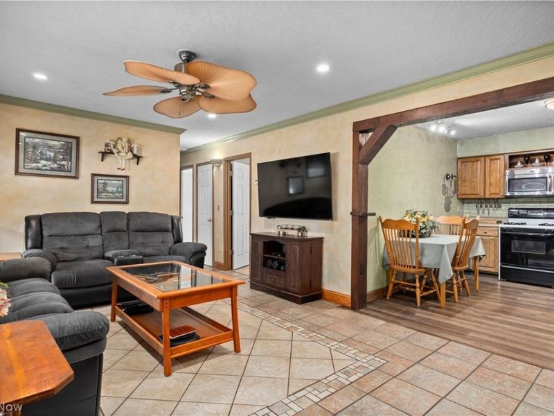 225 Forest Street, Lagrange, OH 44050 Photo 5
