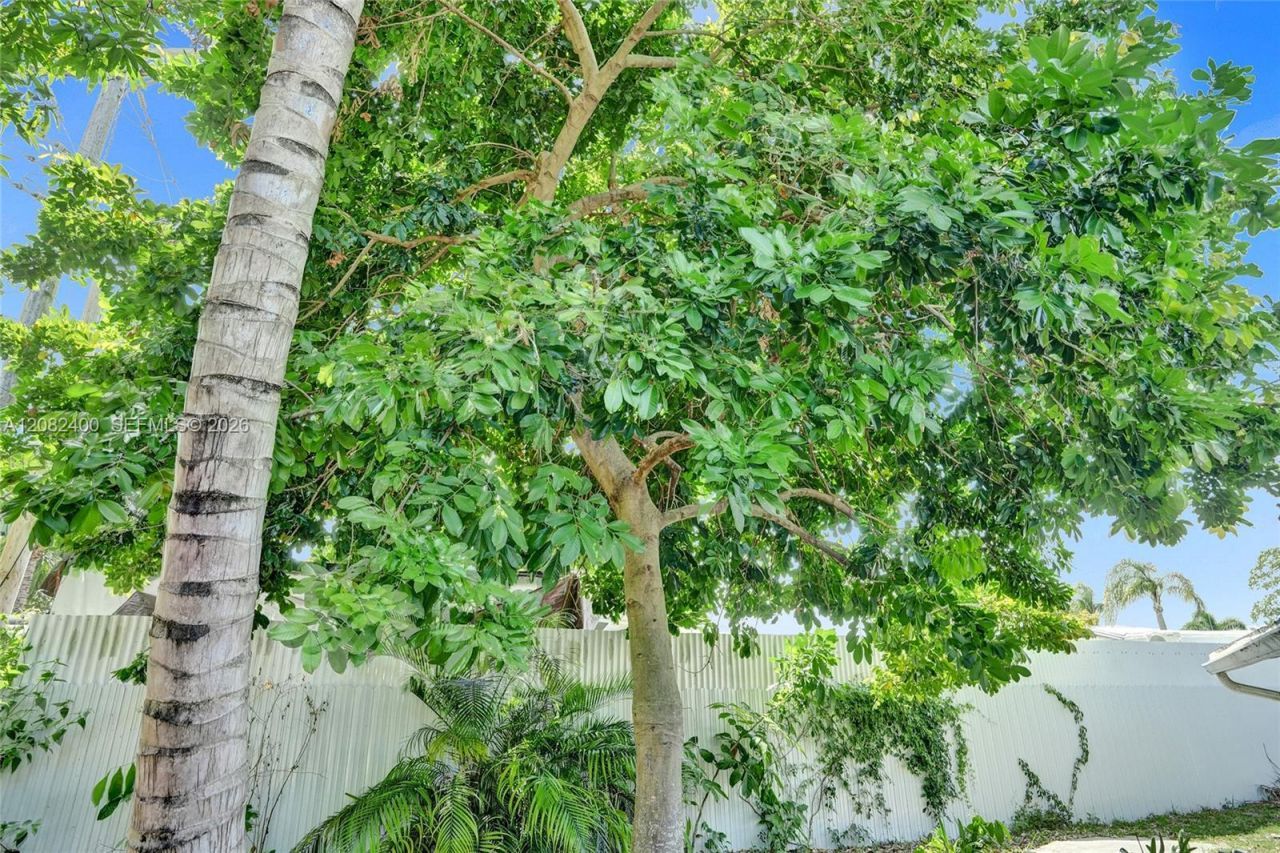 1124 NW 16th St , Fort Lauderdale, FL 33311 Photo