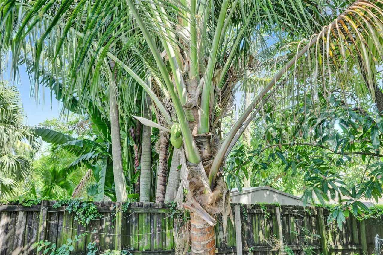 1124 NW 16th St , Fort Lauderdale, FL 33311 Photo