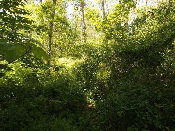 0 Old Country Lane, Tisbury, MA 02568