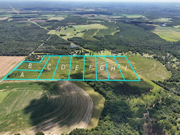 10 Acres F Davidson Road, DeFuniak Springs, FL 32433