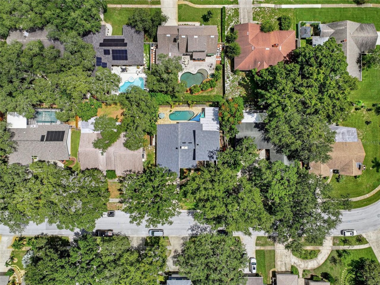 2555 Sweetgum Way W, Clearwater, FL 33761 Photo