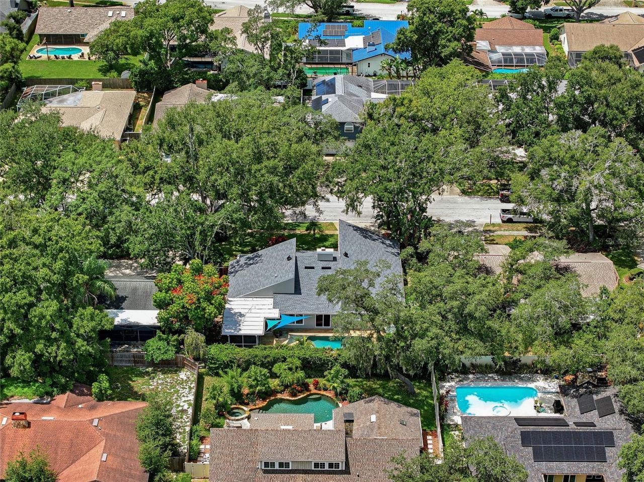 2555 Sweetgum Way W, Clearwater, FL 33761 Photo