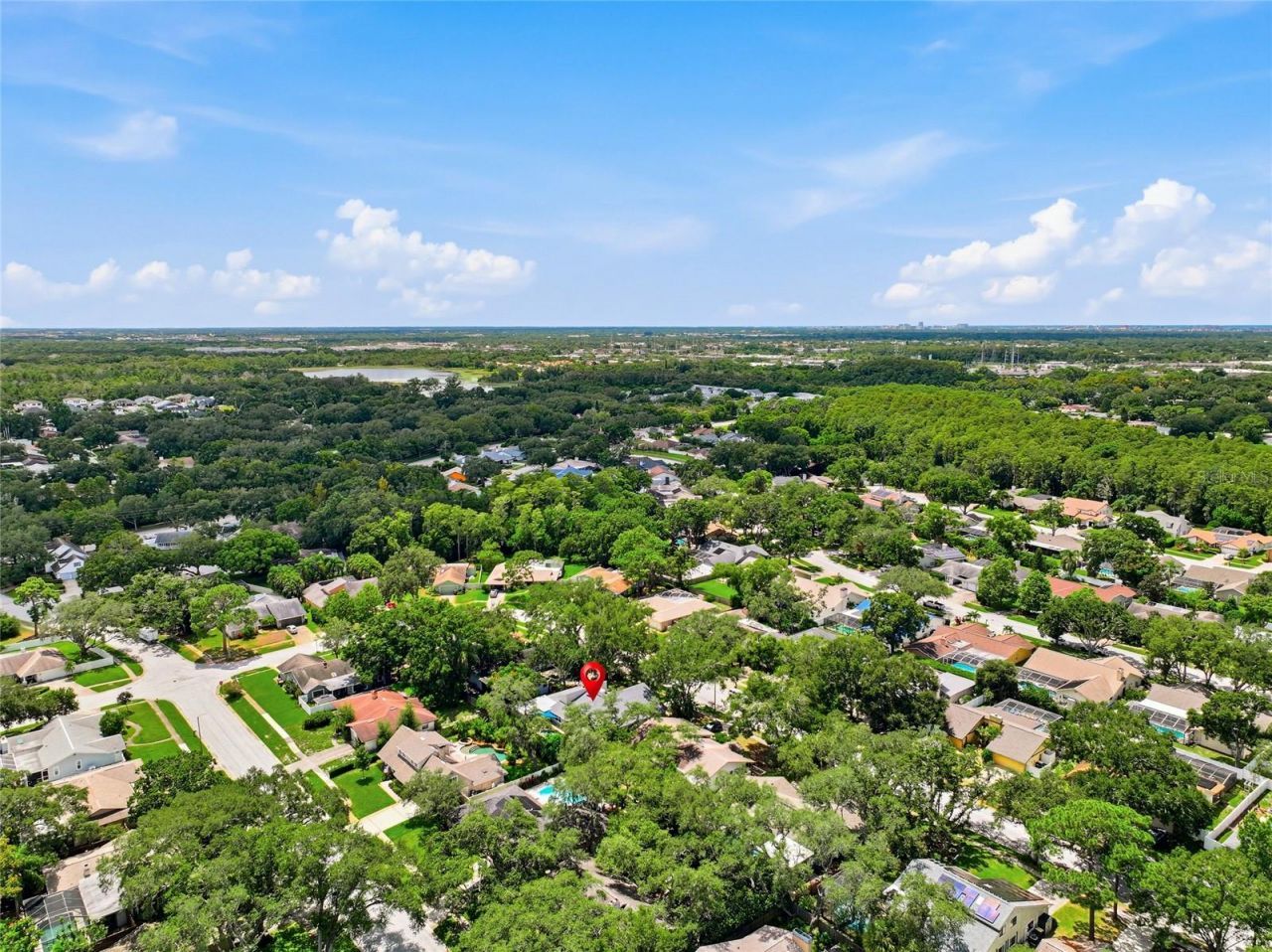 2555 Sweetgum Way W, Clearwater, FL 33761 Photo