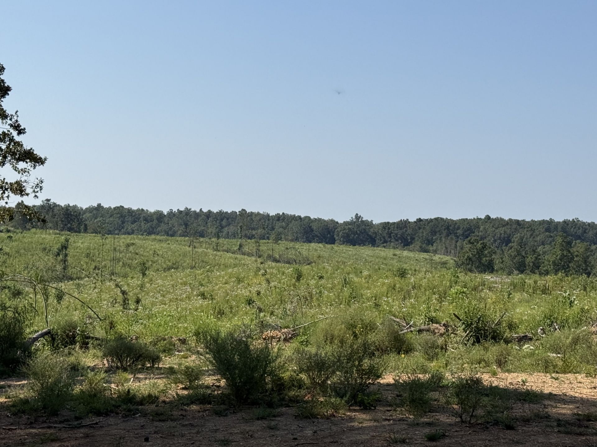 0 Linden Hwy , Hohenwald, TN 38462 Main Photo