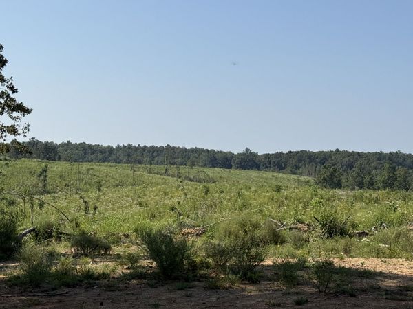 0 Linden HWY , Hohenwald, TN 38462