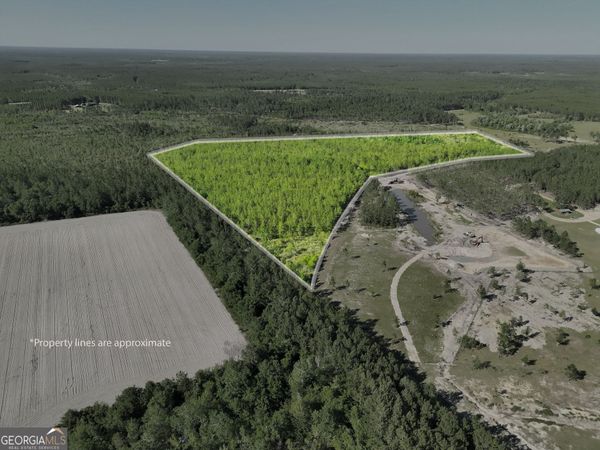 23.68 ACRES Quick Draw Road, Waycross, GA 31503