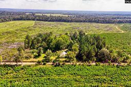276 Bodie Road  photo 4