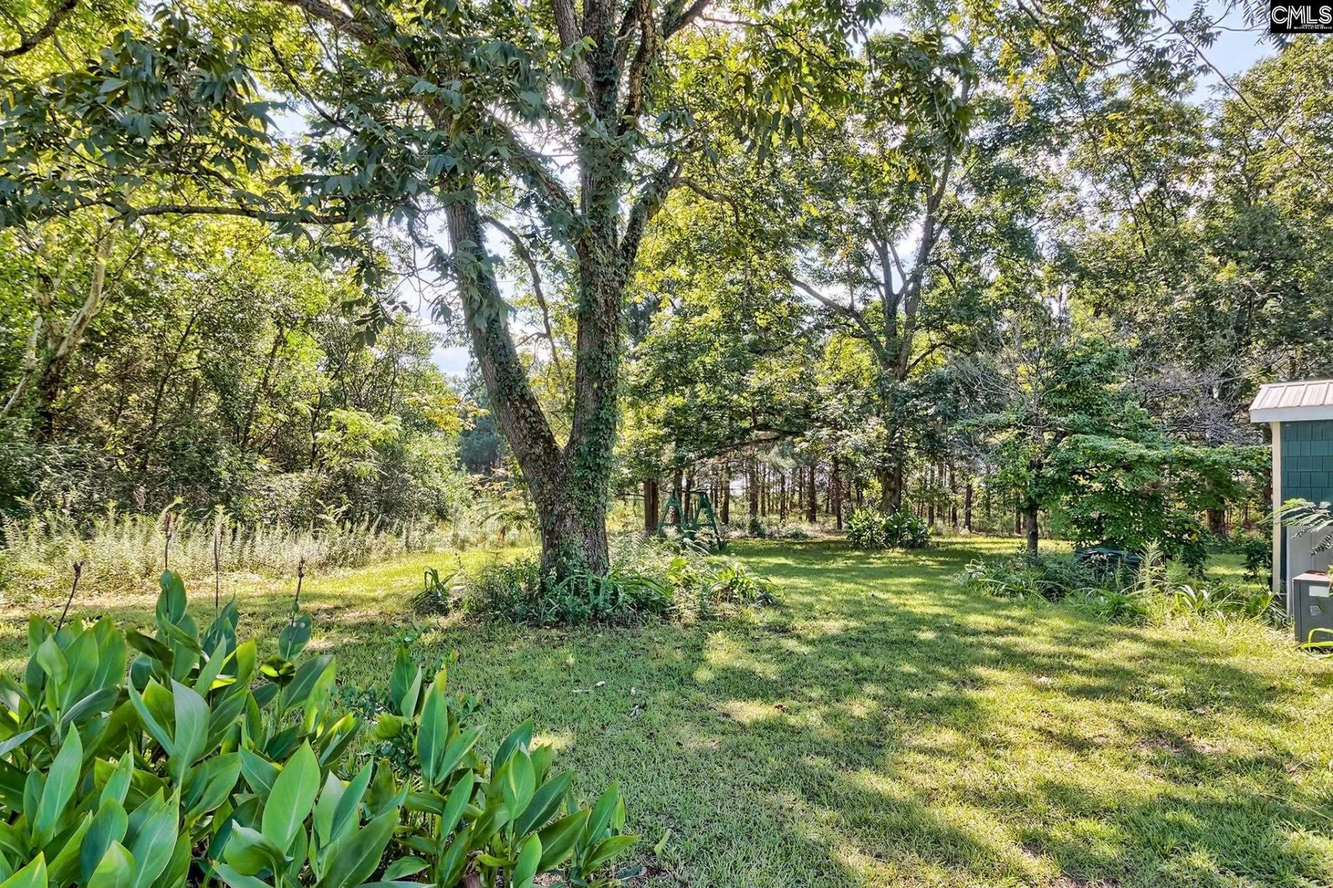 276 Bodie Road  Photo 8