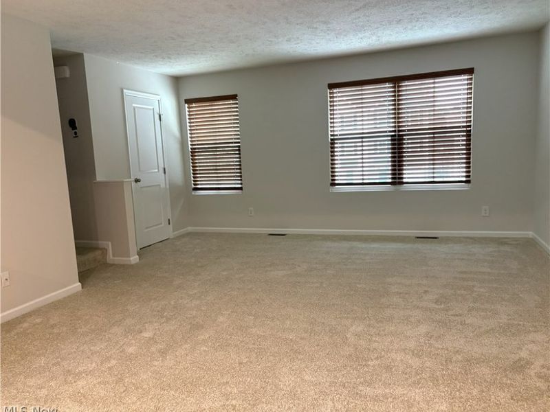 210 Raintree Lane, Painesville, OH 44077 Photo 9