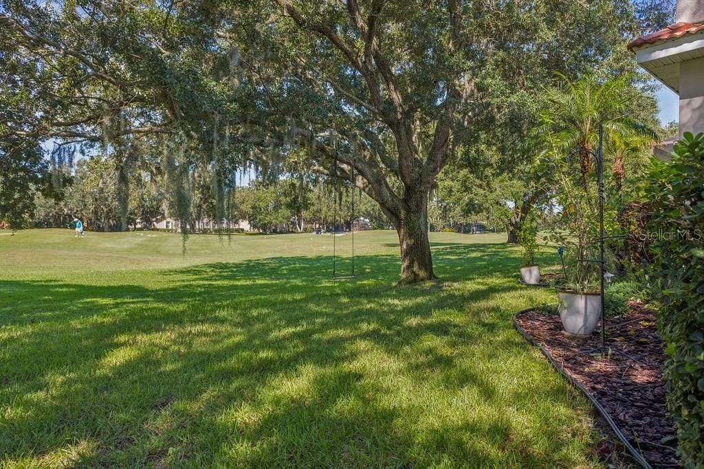 1413 El Pardo Drive, New Port Richey, FL 34655 Photo