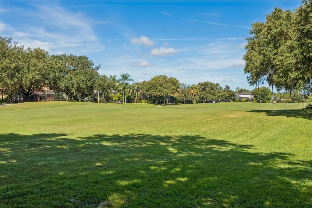 1413 El Pardo Drive, New Port Richey, FL 34655 Photo
