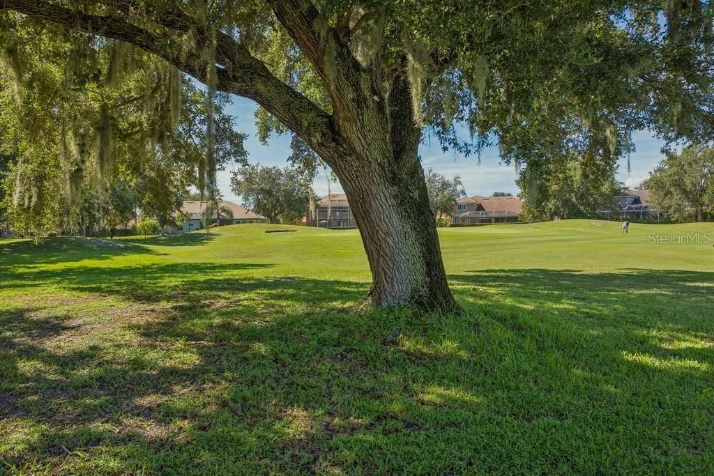 1413 El Pardo Drive, New Port Richey, FL 34655 Photo