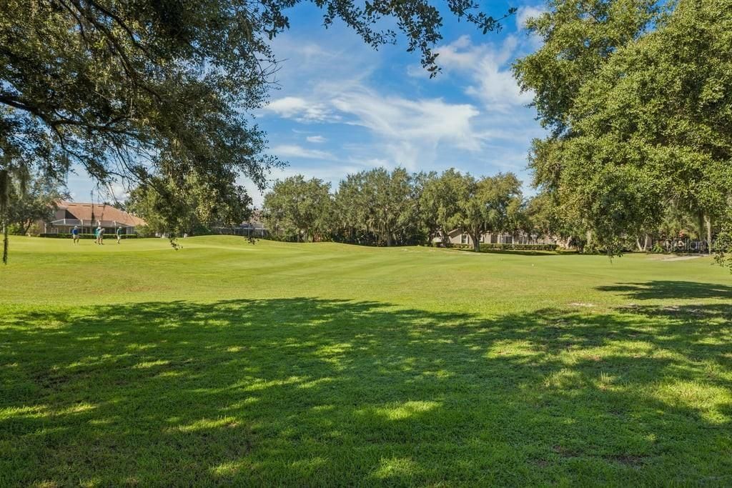 1413 El Pardo Drive, New Port Richey, FL 34655 Photo
