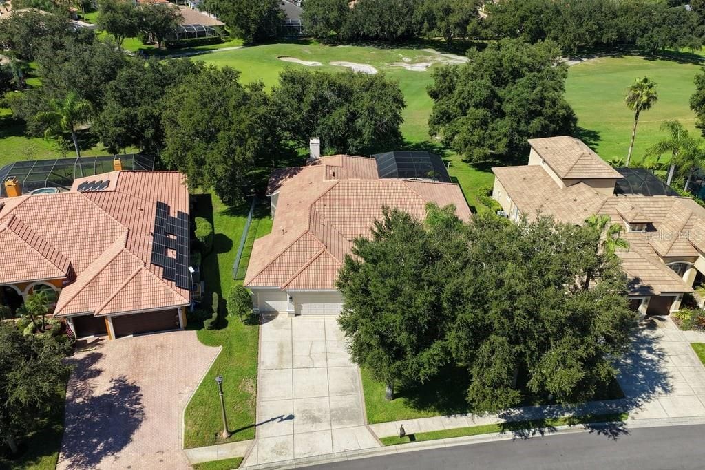 1413 El Pardo Drive, New Port Richey, FL 34655 Photo