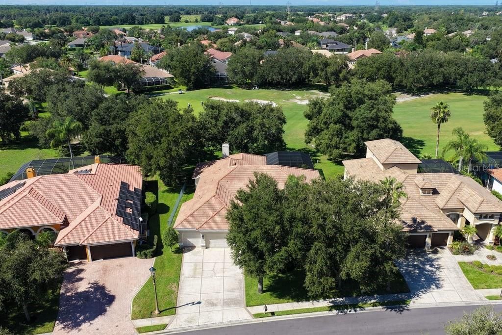 1413 El Pardo Drive, New Port Richey, FL 34655 Photo