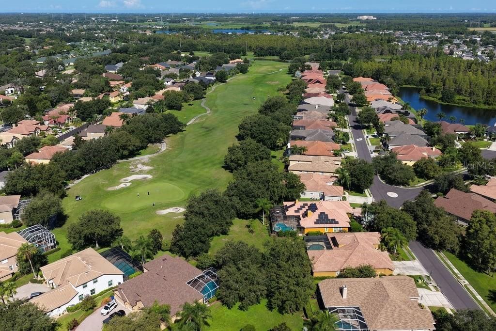1413 El Pardo Drive, New Port Richey, FL 34655 Photo
