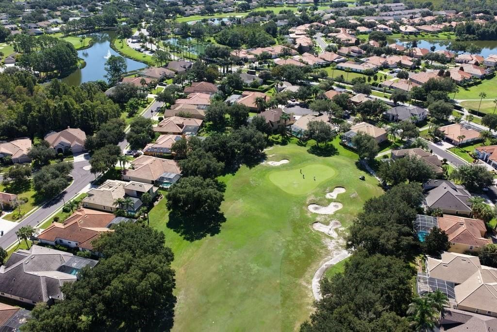 1413 El Pardo Drive, New Port Richey, FL 34655 Photo