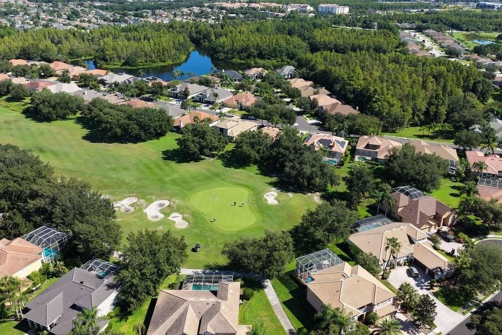 1413 El Pardo Drive, New Port Richey, FL 34655 Photo