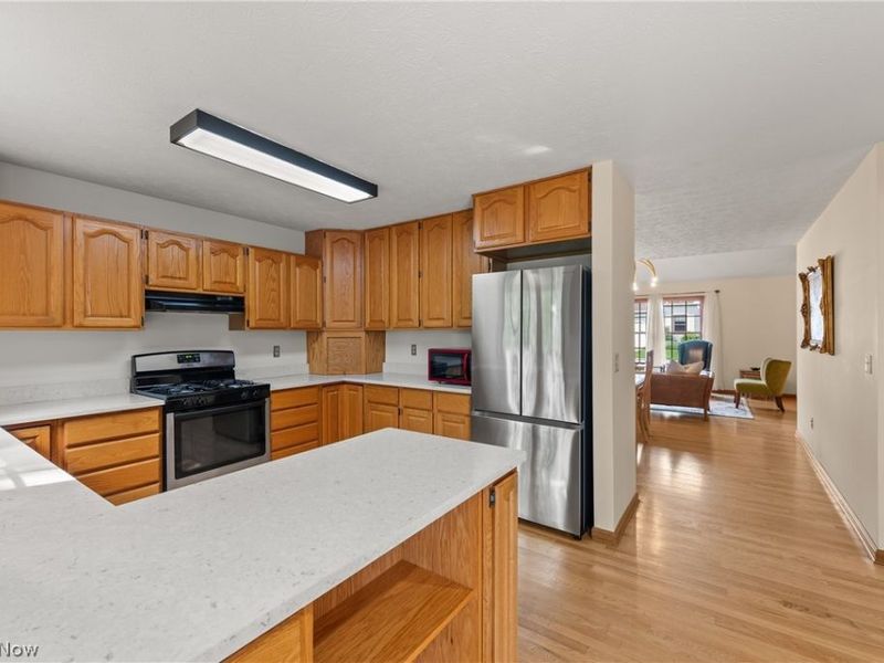 14 Pond Drive, Rocky River, OH 44116 Photo 10