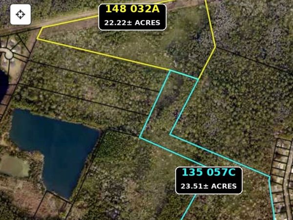 0 Palmetto Street (2 Parcels 45.73 acres), St Marys, GA 31558