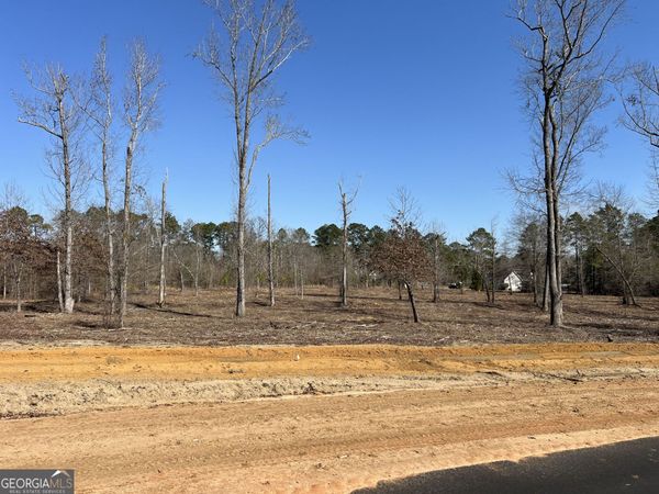 0 Holly Ridge Lot 8, Dublin, GA 31021