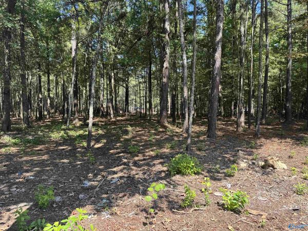 Lot 38 County Road 450, Unit 38, Centre, AL 35960