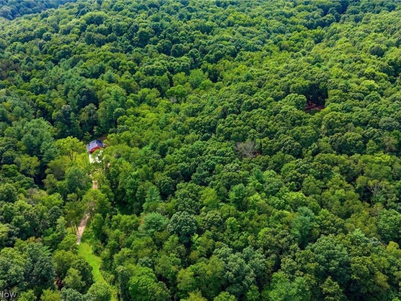 650 Township Road 3292, Loudonville, OH 44842 Photo 18