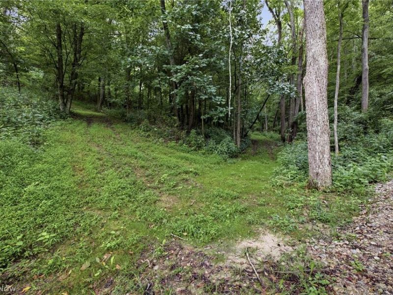 650 Township Road 3292, Loudonville, OH 44842 Photo 24