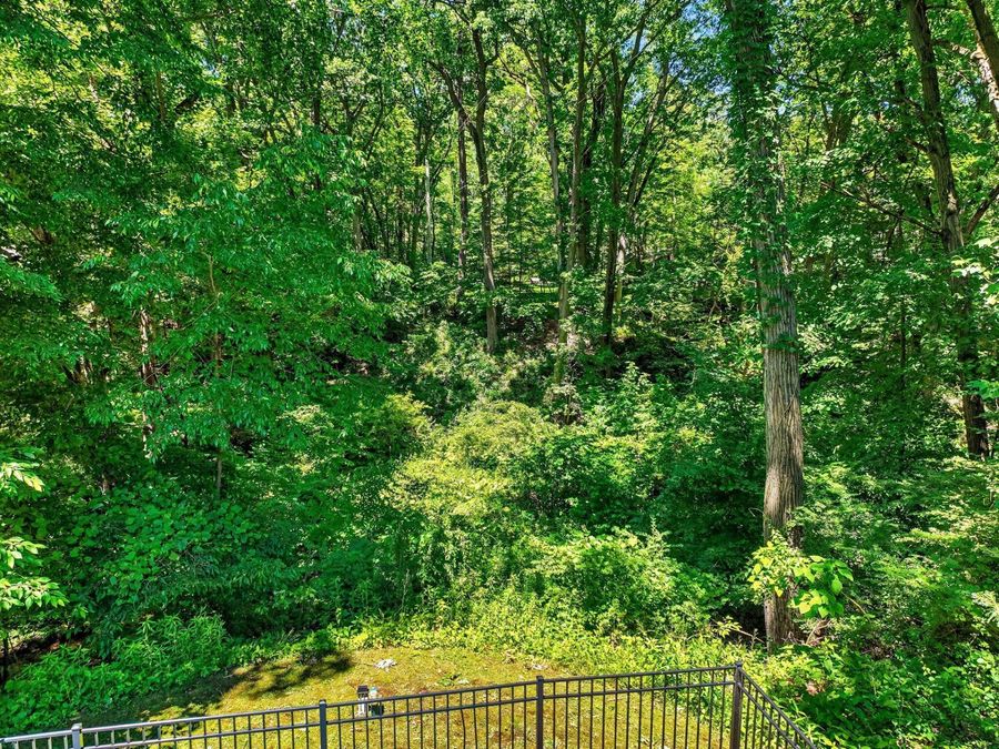Property Image 50