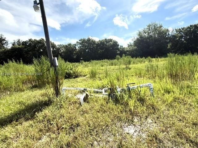 3003 Hicks Rd , Lorida, FL 33857 Photo