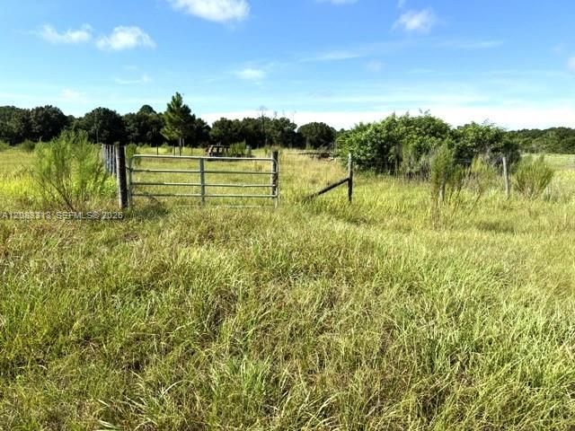 3003 Hicks Rd , Lorida, FL 33857 Photo