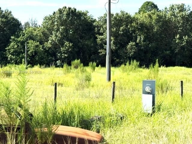 3003 Hicks Rd , Lorida, FL 33857 Photo