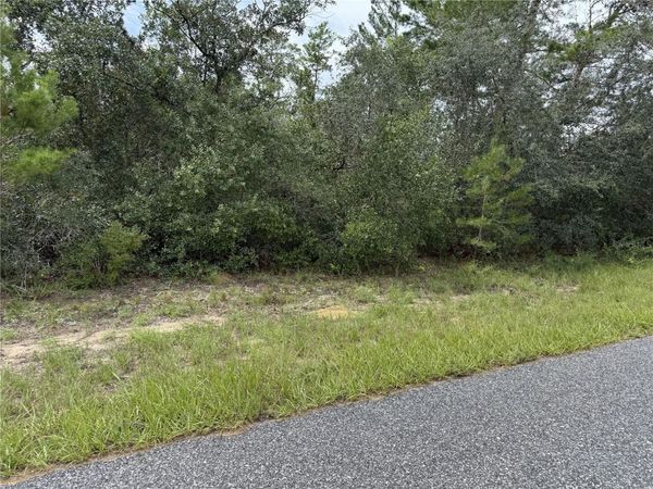 4282 W THRUSH DRIVE , CITRUS SPRINGS, FL 34433
