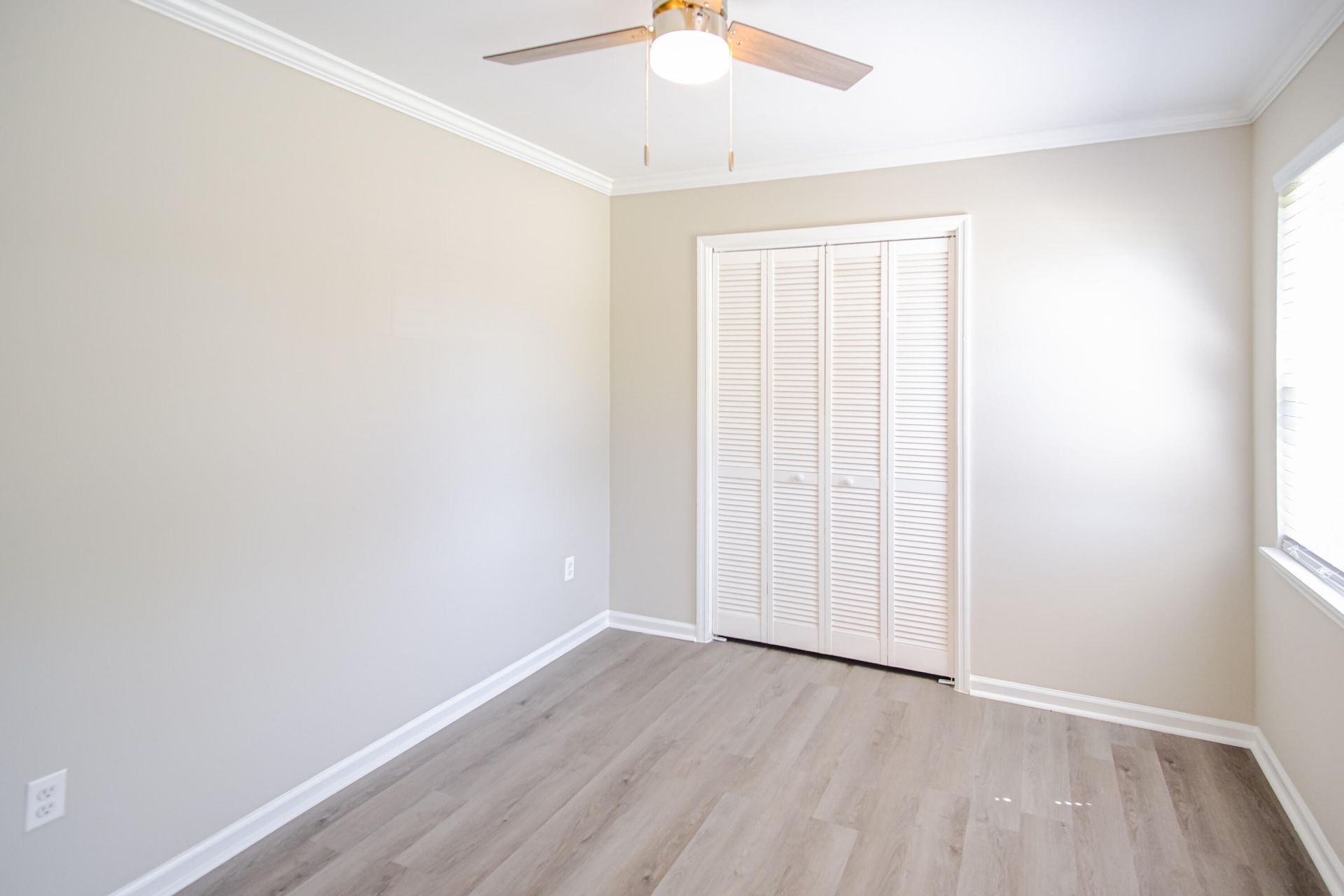 202 Gippy Drive Photo 11