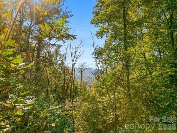TBD Laurel Heights , Marshall, NC 28753