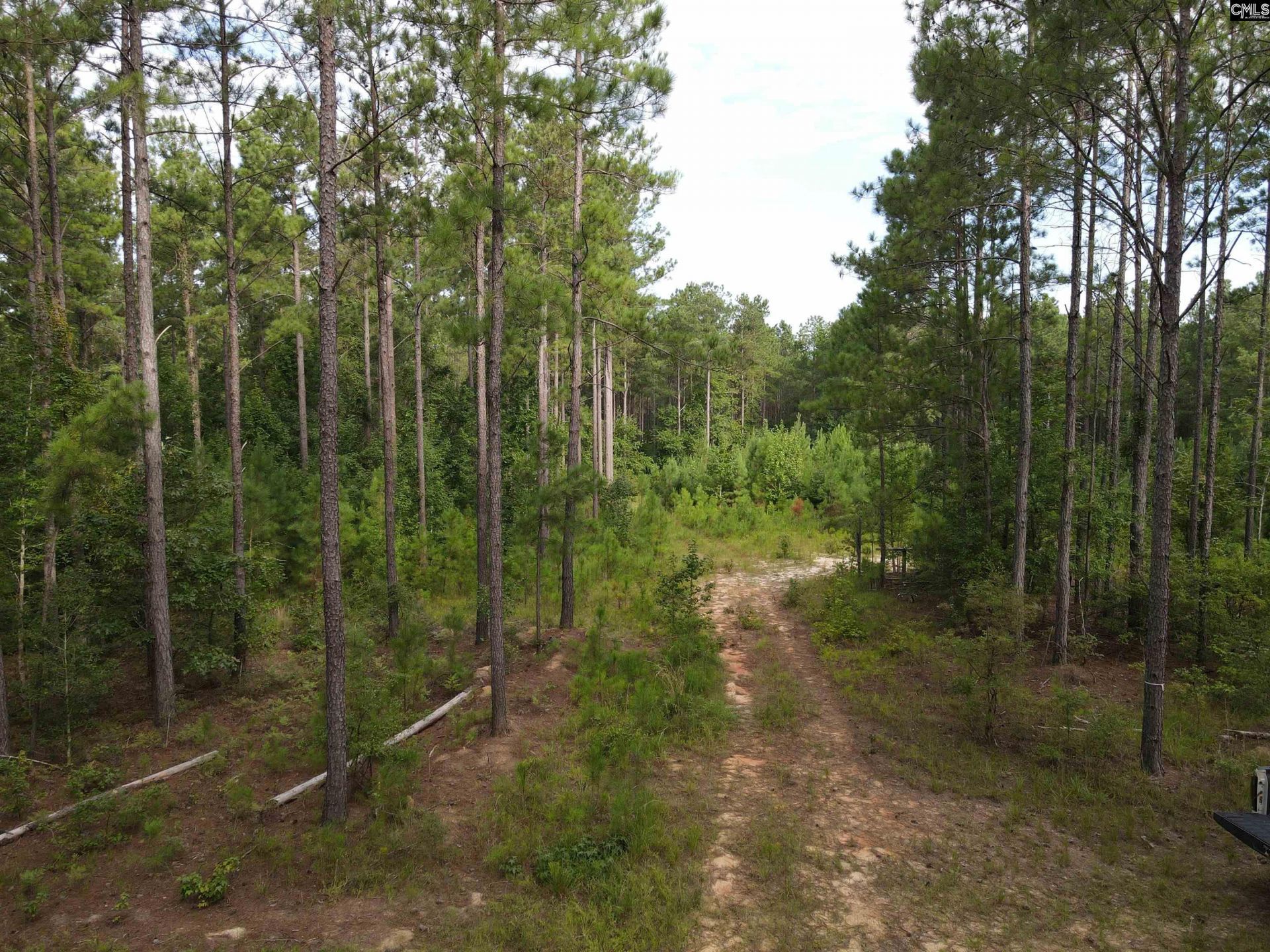 Tract 2 Bridle Path Road  Photo 7