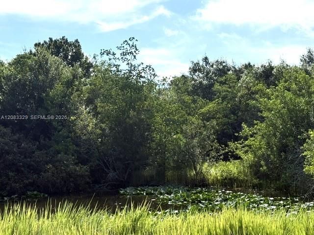 2524 Gem Stone Ave , Lorida, FL 33857 Photo