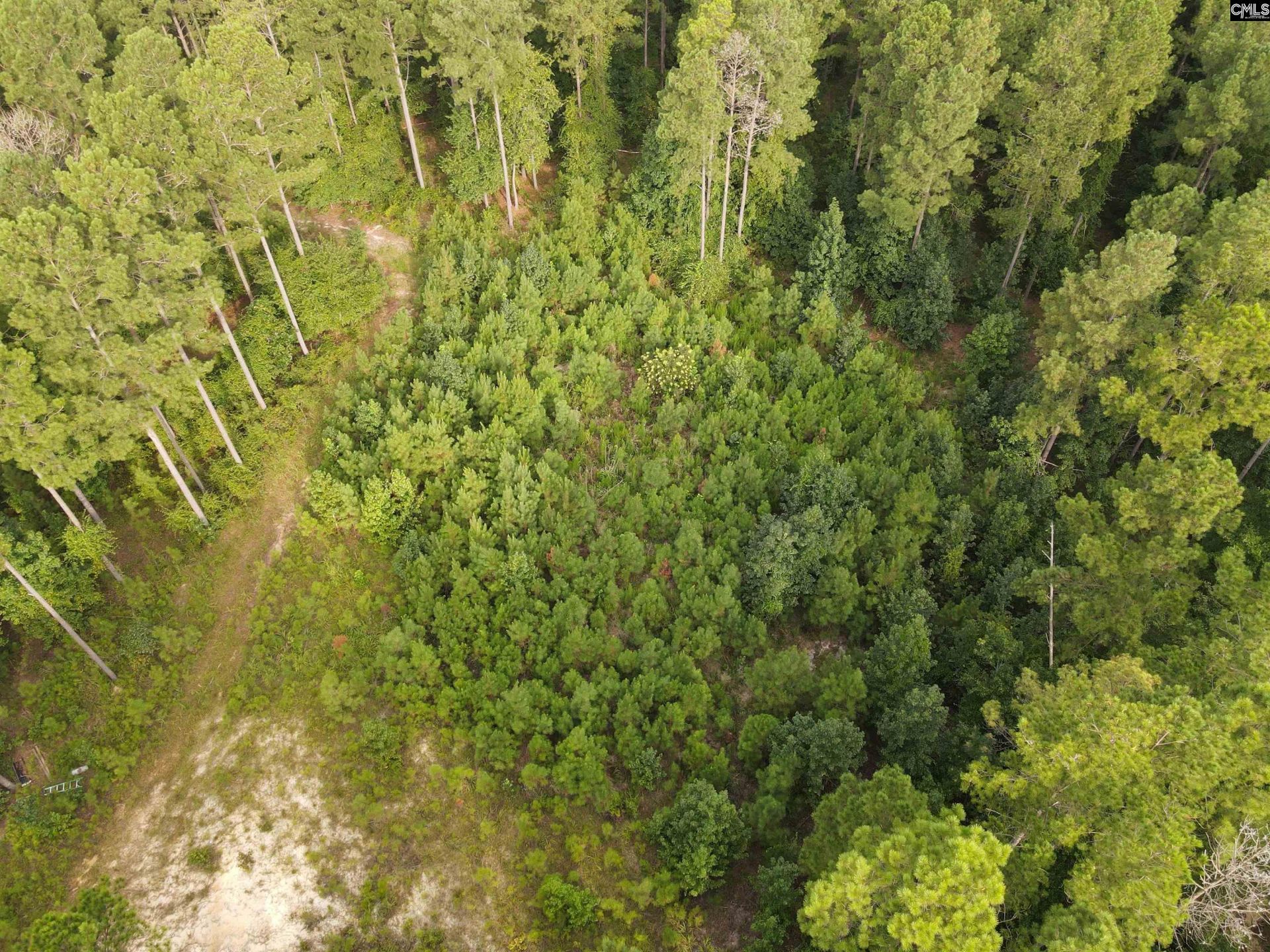 Tract 3 Bridle Path Road  Photo 4