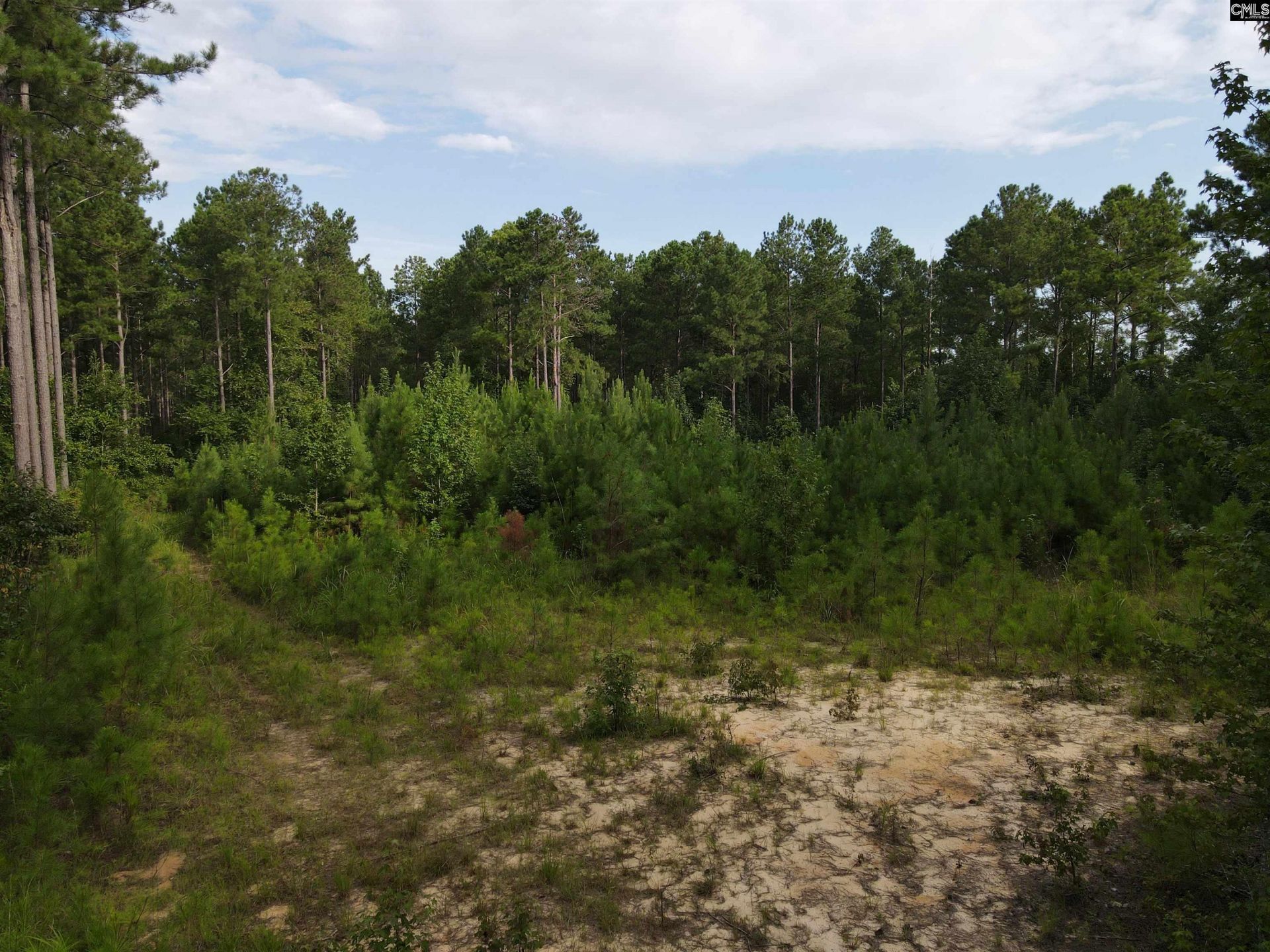 Tract 3 Bridle Path Road  Photo 8