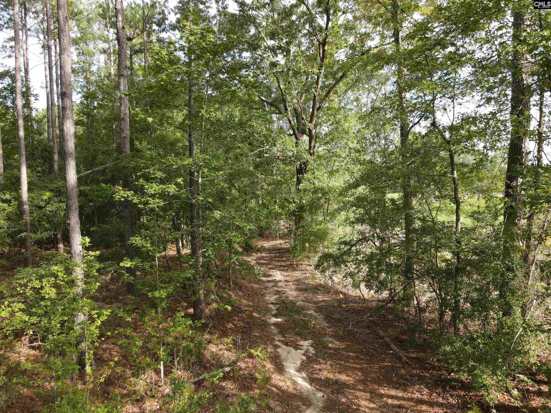 Tract 3 Bridle Path Road  Photo 9