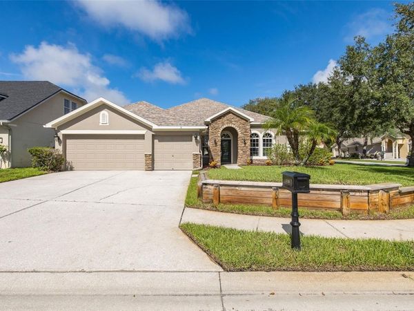 15220 OCTAVIA LANE , ODESSA, FL 33556