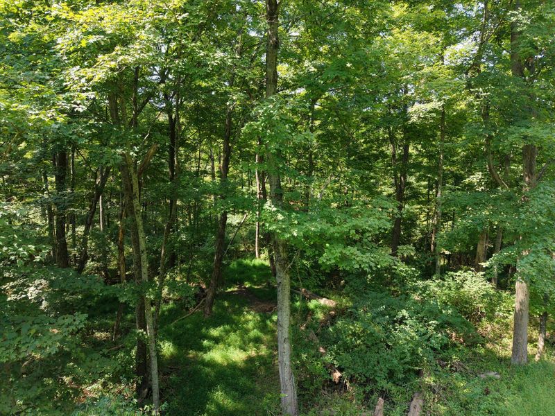 5454 Botts Lane, Petersburg, KY 41080 Photo 35