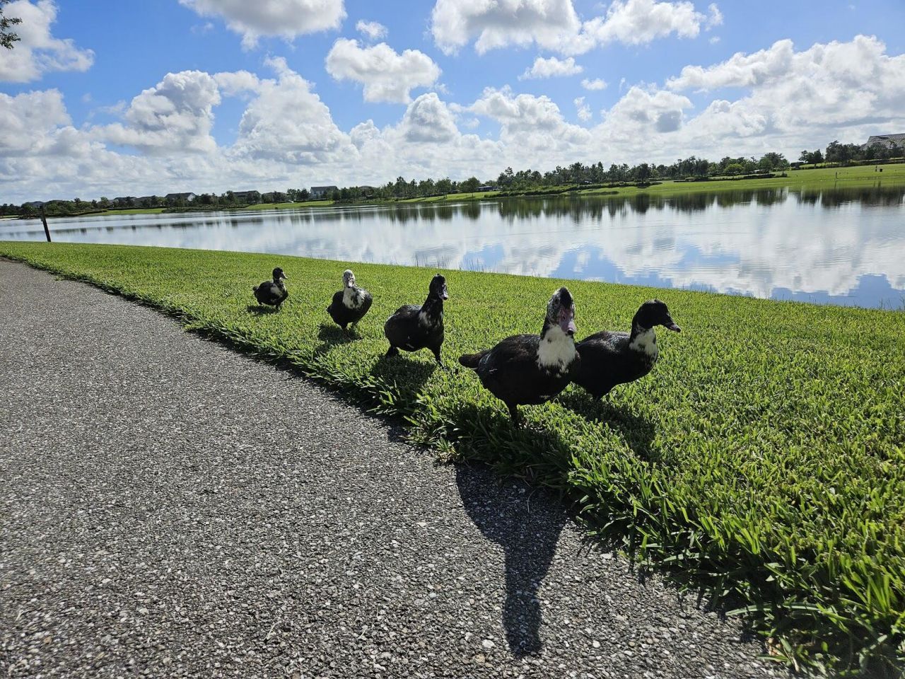 1664 Pelican Post Place, Loxahatchee, FL 33470 Photo
