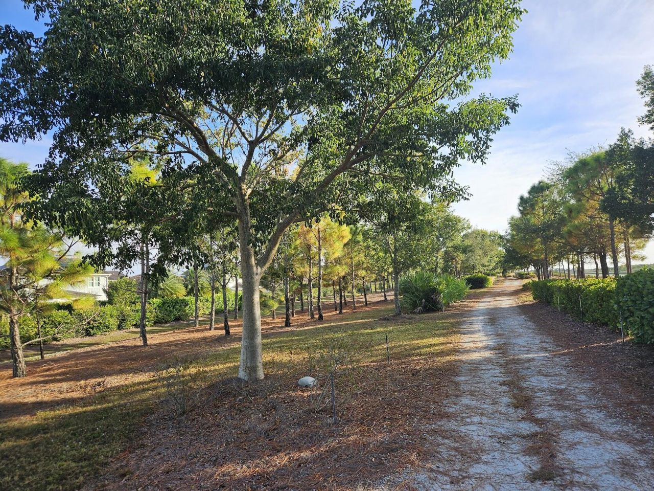 1664 Pelican Post Place, Loxahatchee, FL 33470 Photo