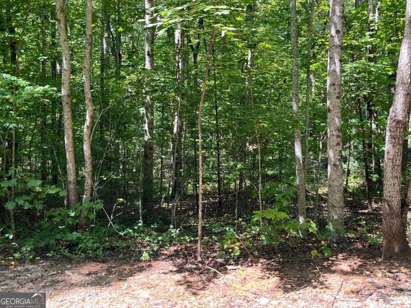 LOT 7 Forest Canopy Way, Clayton, GA 30525