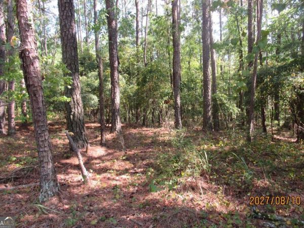 704 S Chickasaw Trail SW, Sparta, GA 31087