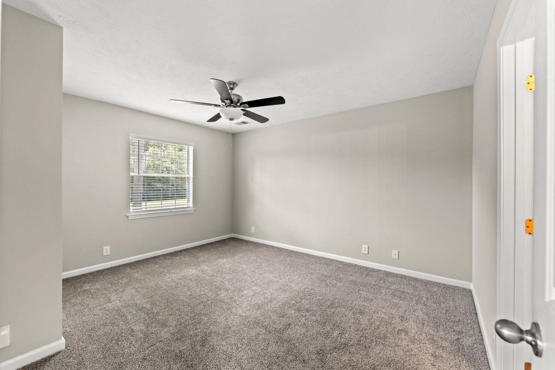 684 Tupelo Ln. Photo 10