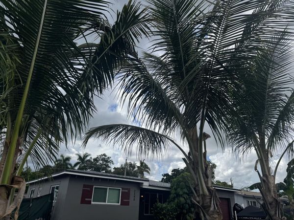 3340 SW 20TH Court, Fort Lauderdale, FL 33312