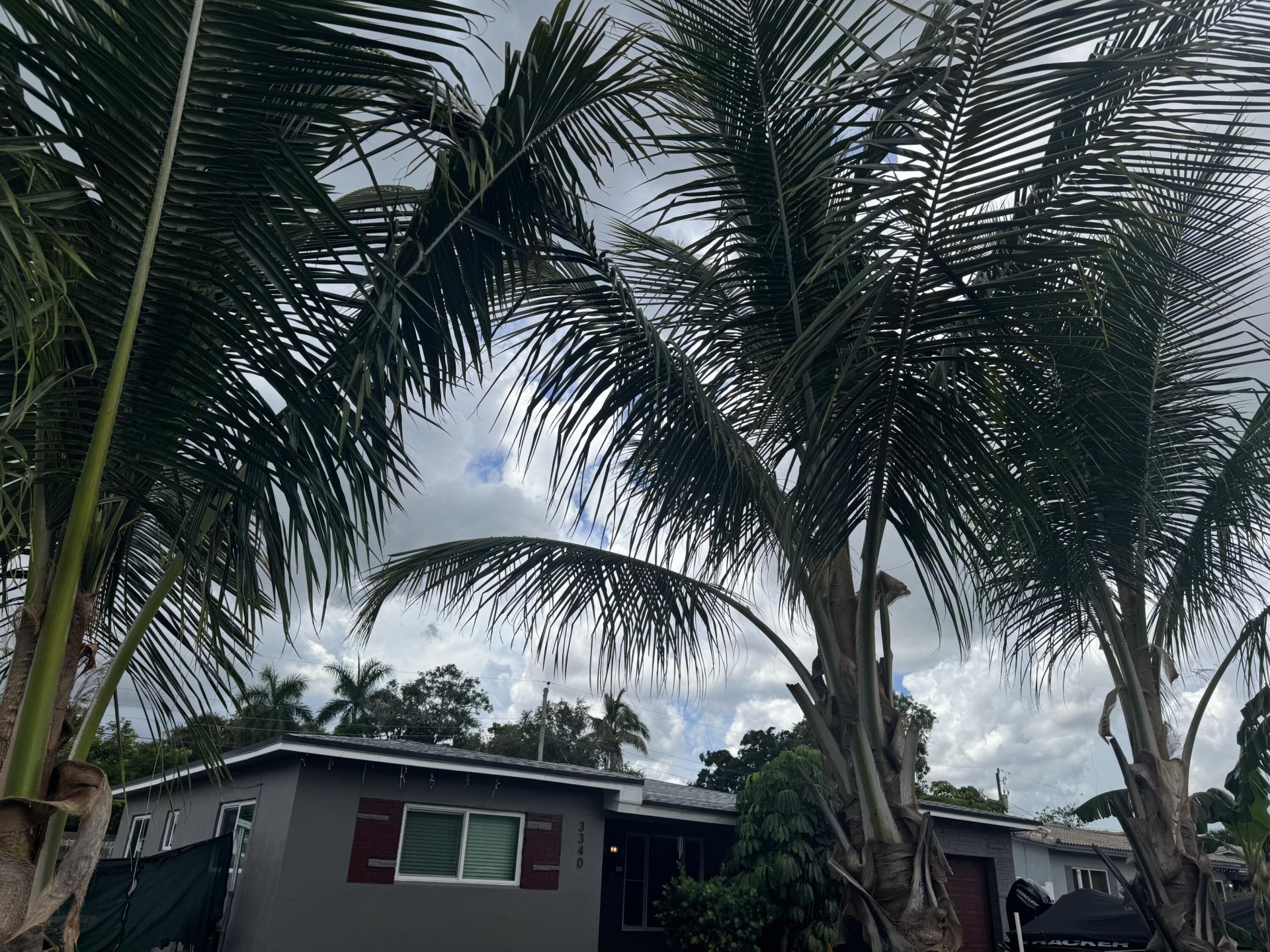3340 SW 20th Court, Fort Lauderdale, FL 33312 Photo